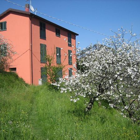 Agriturismo Casalino Беверино Экстерьер фото