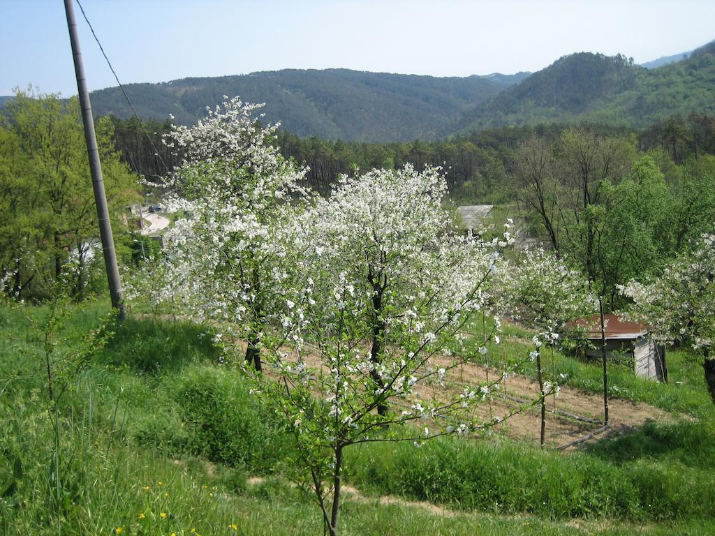 Agriturismo Casalino Беверино Экстерьер фото